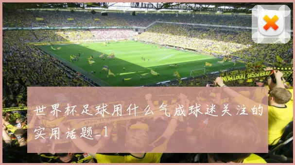 世界杯足球用什么气成球迷关注的实用话题_1