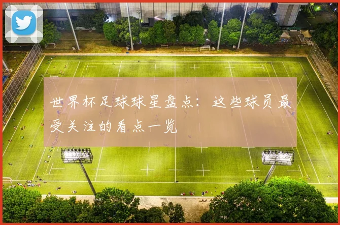世界杯足球球星盘点:这些球员最受关注的看点一览